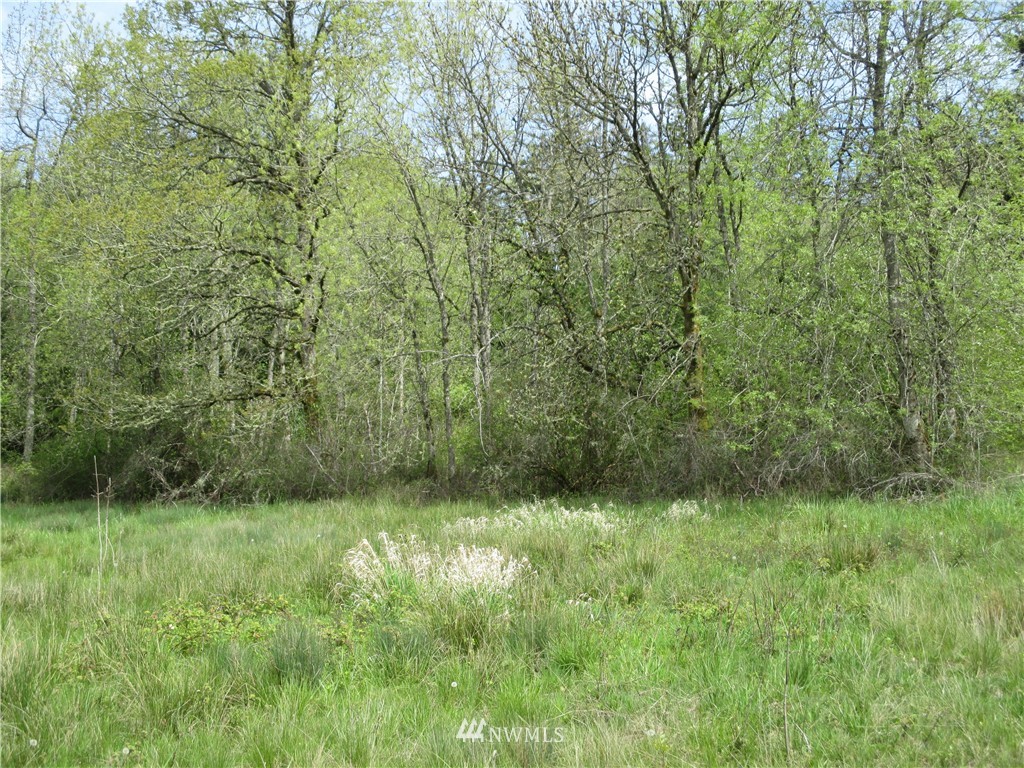 0 Gore Road Kalama, WA 98625 - Photo 9 of 12 Gallery Image 9