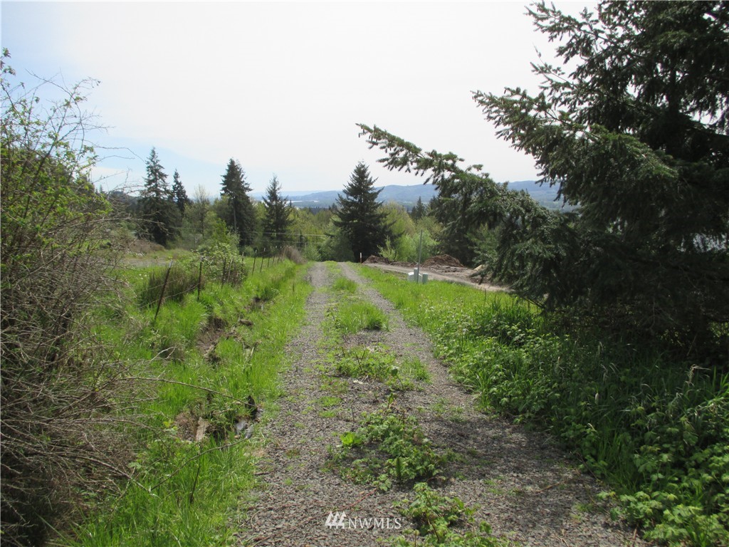 0 Gore Road Kalama, WA 98625 - Photo 10 of 12 Gallery Image 10