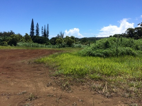 225 South Holokai Road Haiku, HI 96708 - Photo 1 of 10 a view of a city