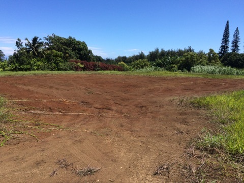 225 South Holokai Road Haiku, HI 96708 - Photo 2 of 10 a view of a field with trees in background
