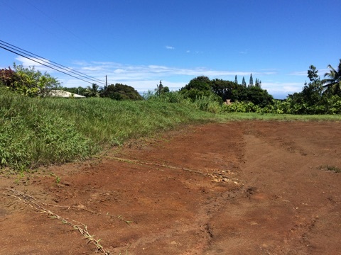 225 South Holokai Road Haiku, HI 96708 - Photo 3 of 10 a view of a field with an trees