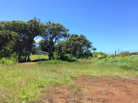 225 South Holokai Road Haiku, HI 96708 - Photo 5 of 10 a view of a yard with a tree