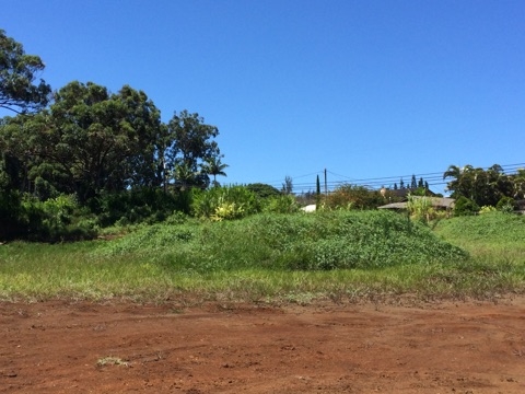 225 South Holokai Road Haiku, HI 96708 - Photo 10 of 10 a view of a road with an ocean view