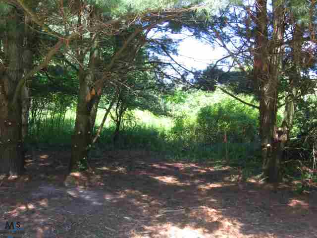 Tbd Burns Line Road Croswell, MI 48422 - Photo 3 of 11 31062948-2.JPG