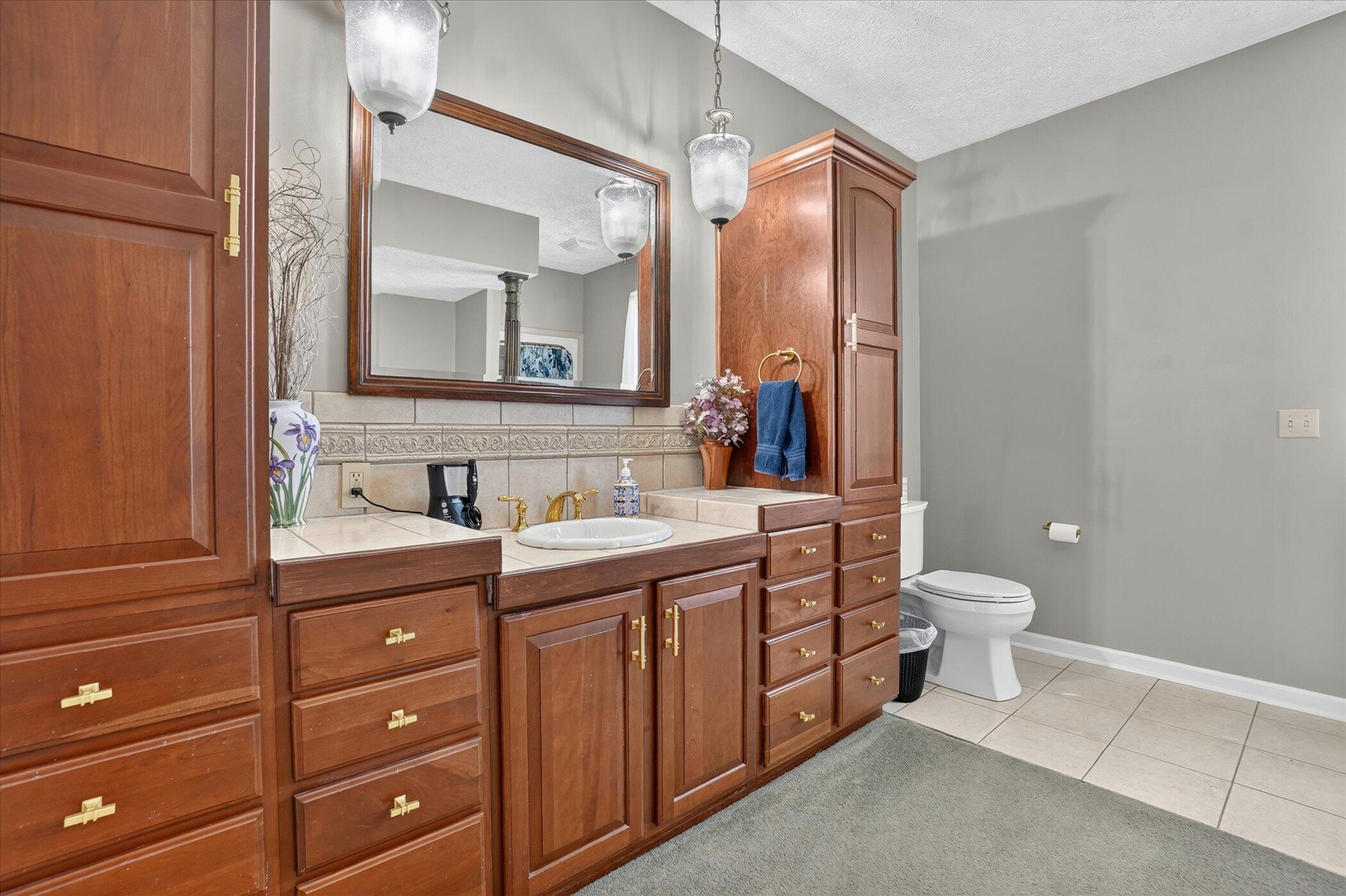 325 Priest Road Owosso, MI 48867 - Photo 22 of 86 Primary Ensuite