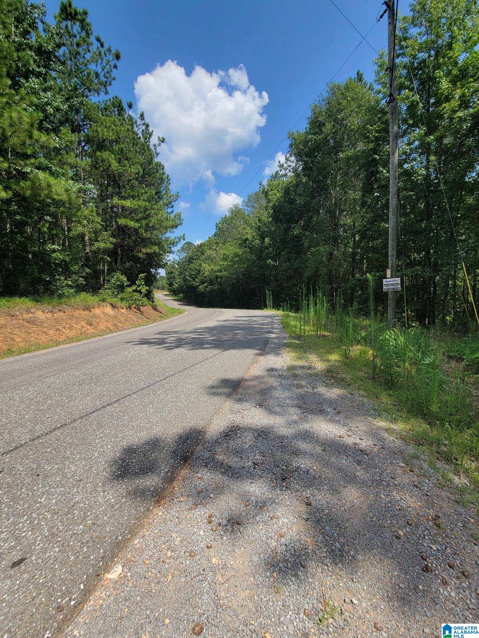 499 Sweet Apple Road Cropwell, AL 35054 - Photo 8 of 9