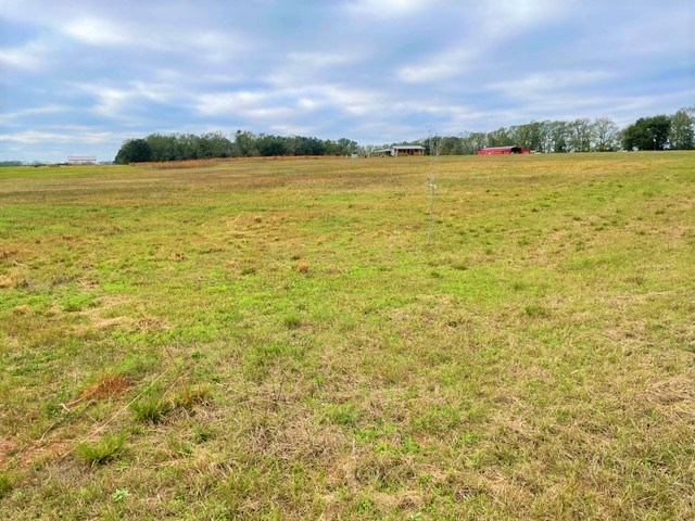 3300 Singletary Road Slocomb, AL 36375 - Photo 2 of 6