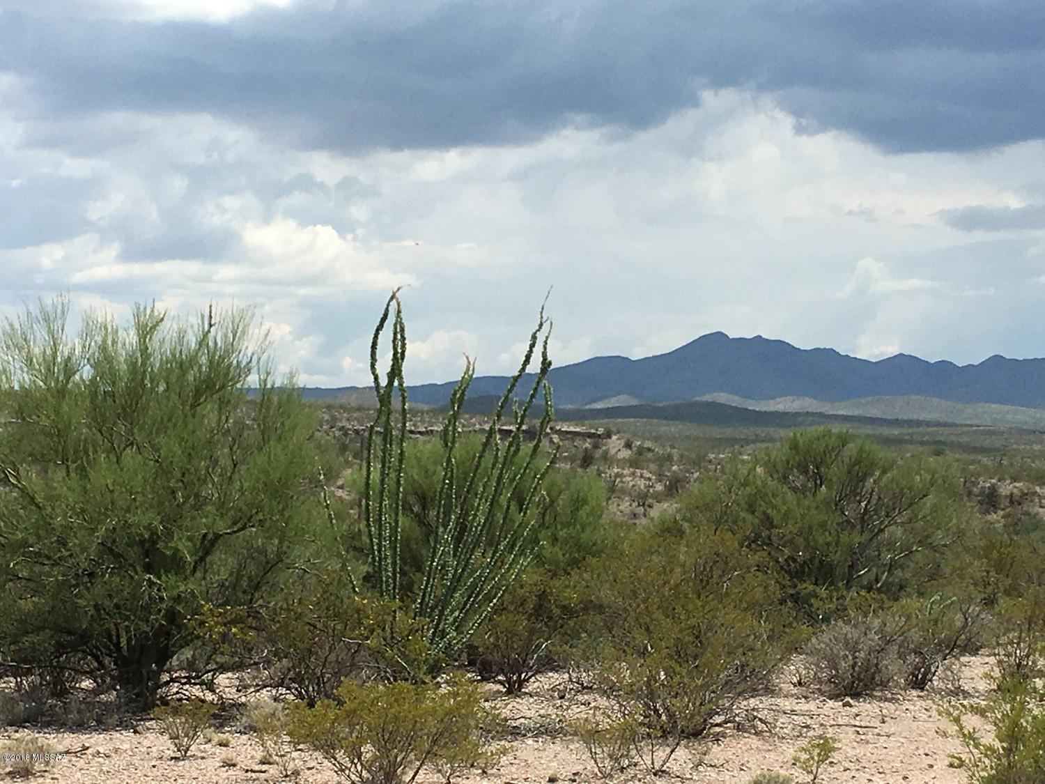 17178 East Zoo Stage Road Vail, AZ 85641 - Photo 2 of 24 Gallery Image 2