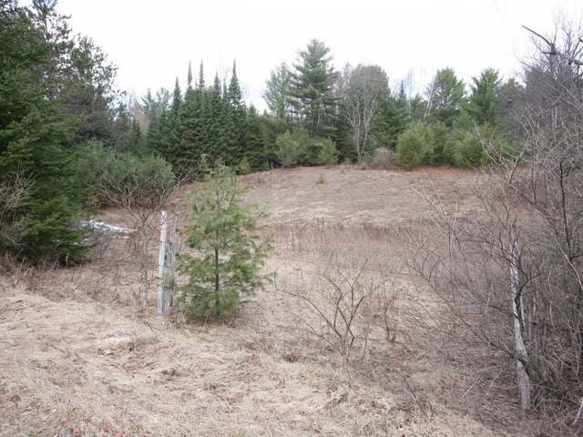 4533 Cth P Rhinelander, WI 54501 - Photo 13 of 13 Gallery Image 13
