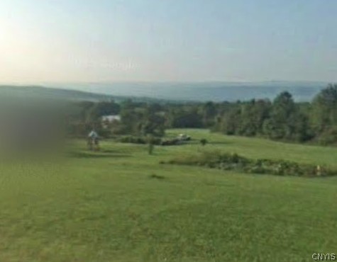 Brown Road Schuyler, NY 13340 - Photo 6 of 7