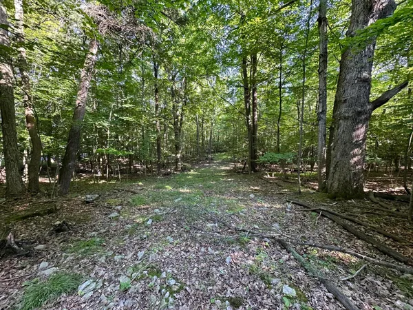 $84,999 | 0 Trembleau Road, Keeseville, NY 12944
