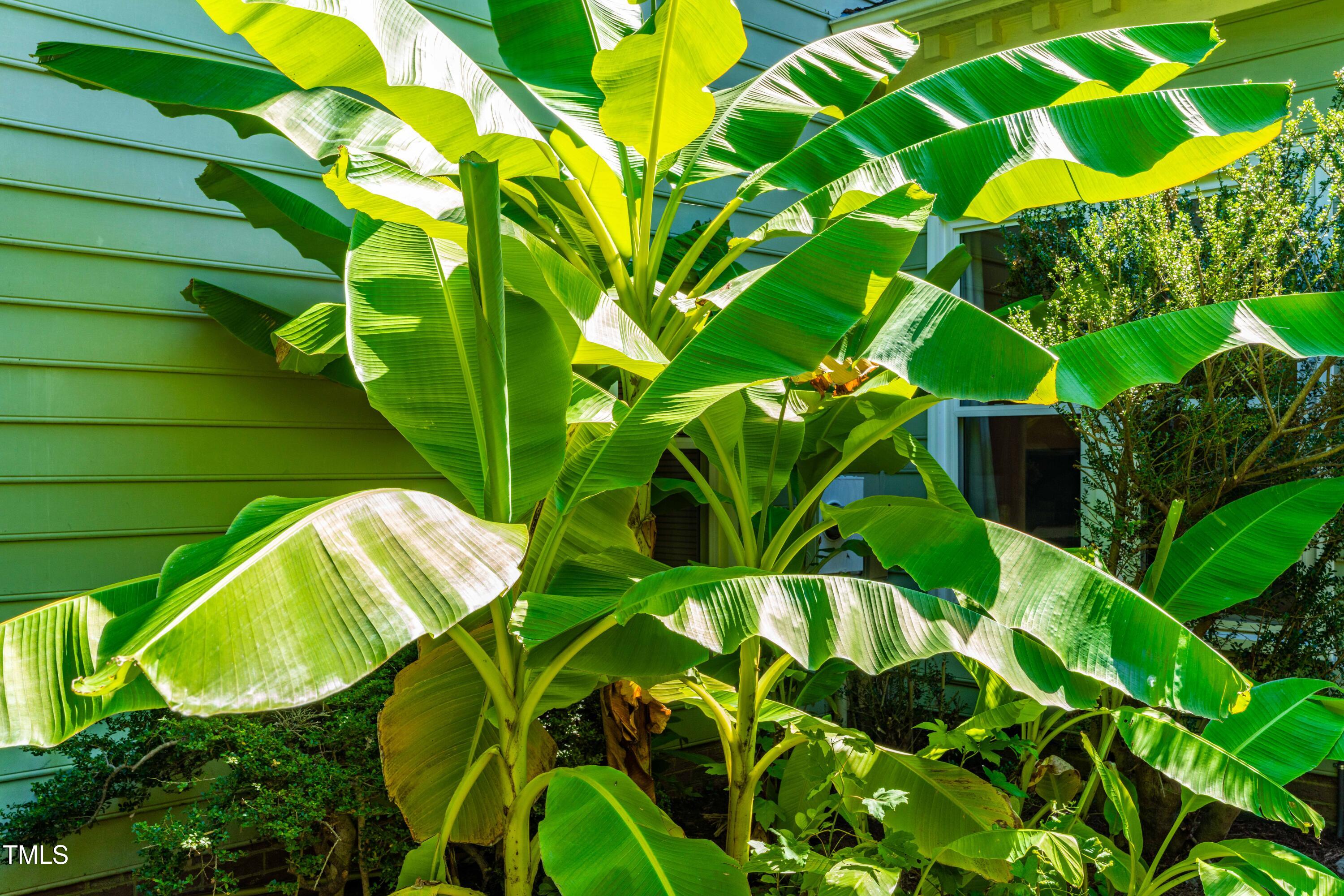 1106 Wellstone Circle Apex, NC 27502 - Photo 59 of 67 62_dsc01299