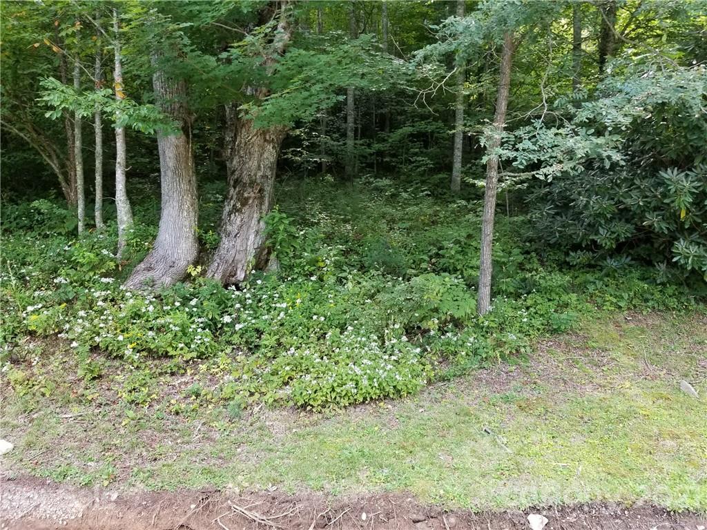 0 South Ridgerunner Road, Unit 42 Burnsville, NC 28714 - Photo 12 of 14 Gallery Image 12