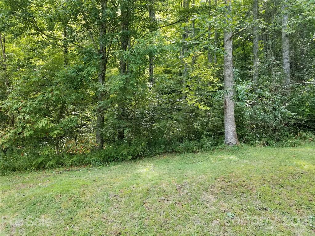 0 South Ridgerunner Road, Unit 42 Burnsville, NC 28714 - Photo 10 of 14 Gallery Image 10