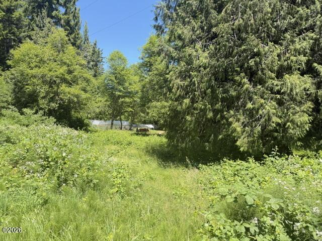 82467 Crowder Road Seaside, OR 97138 - Photo 11 of 18