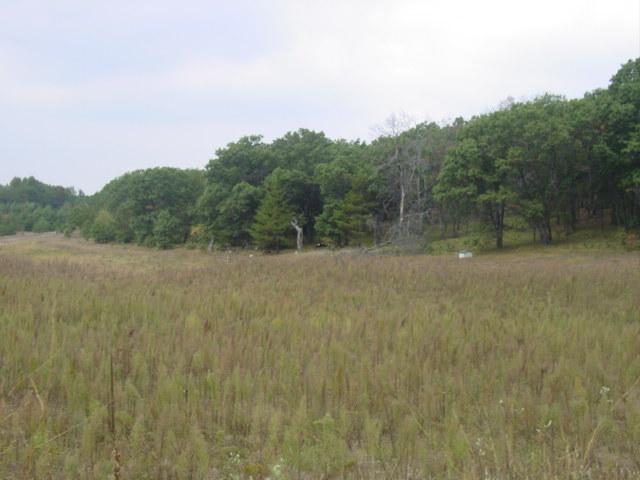 Lt1 Sandcreek Road Mindoro, WI 54644 - Photo 1 of 1 10.16 Acres