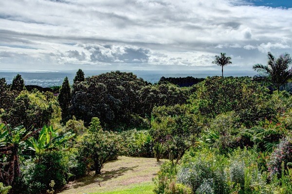 650 Kopa'a Road Hilo, HI 96720 - Photo 19 of 25