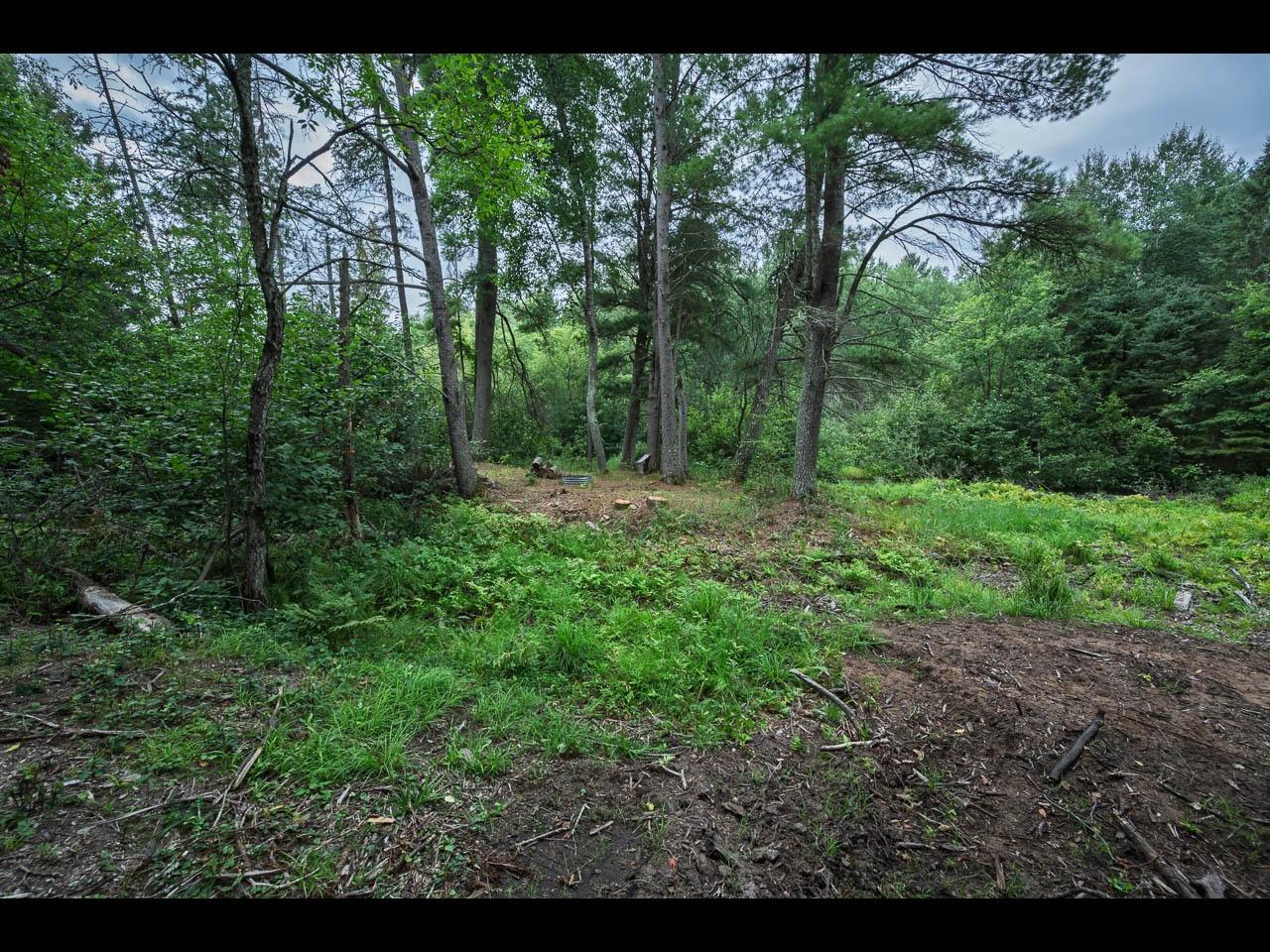 10297 Rocky Run Road Harshaw, WI 54529 - Photo 3 of 21 Gallery Image 3
