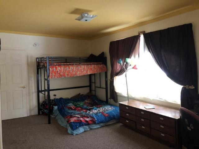 610 South Roth Street Reed City, MI 49677 - Photo 17 of 48 IMG_6009