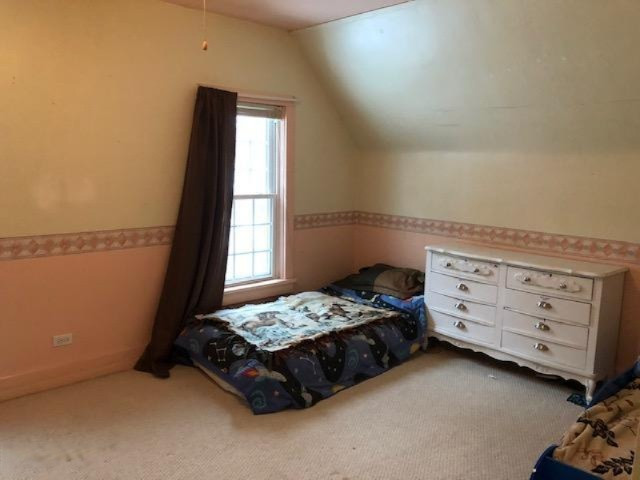 610 South Roth Street Reed City, MI 49677 - Photo 29 of 48 IMG_6023