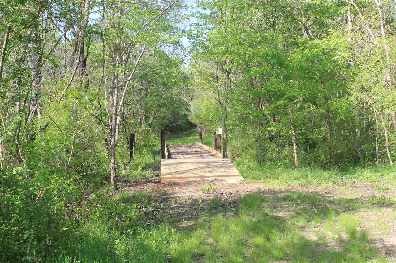 1600 Country Church Road Lamar, MS 38642 - Photo 2 of 25 a view of a yard with plants and large trees