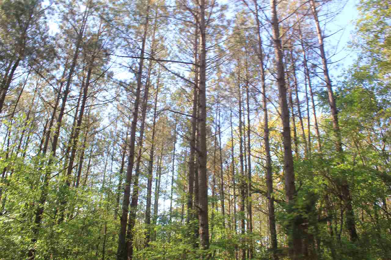 1600 Country Church Road Lamar, MS 38642 - Photo 12 of 25