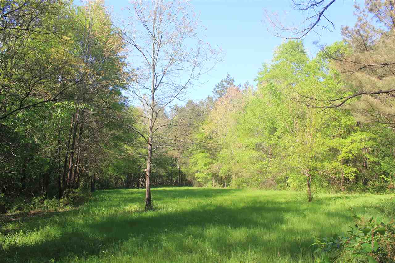1600 Country Church Road Lamar, MS 38642 - Photo 16 of 25 a view of an outdoor space and a yard