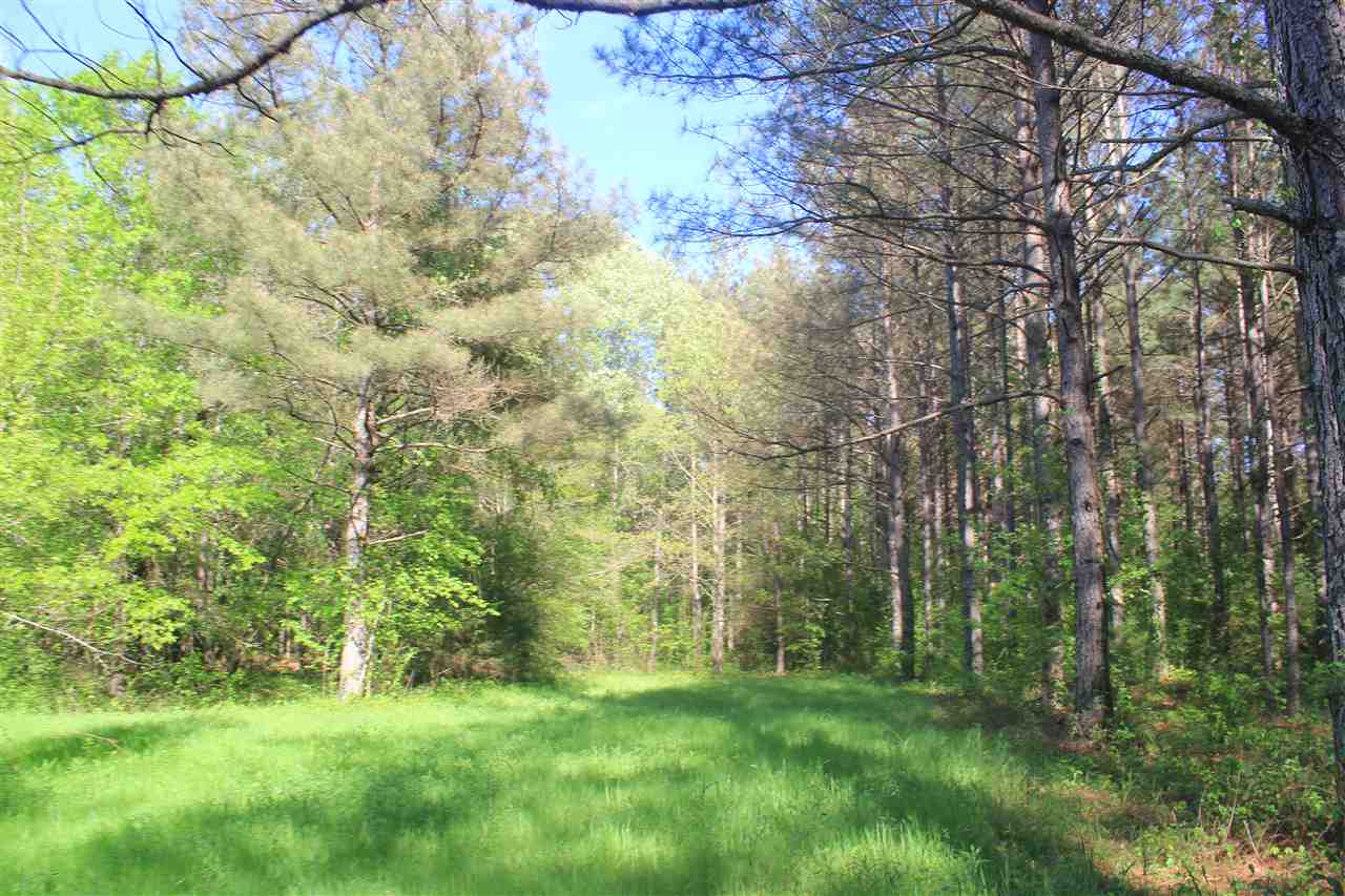 1600 Country Church Road Lamar, MS 38642 - Photo 17 of 25 a view of a yard with a tree