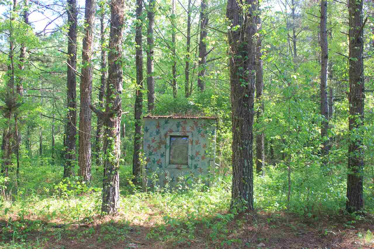 1600 Country Church Road Lamar, MS 38642 - Photo 18 of 25 a backyard of a house with lots of green space and garden view