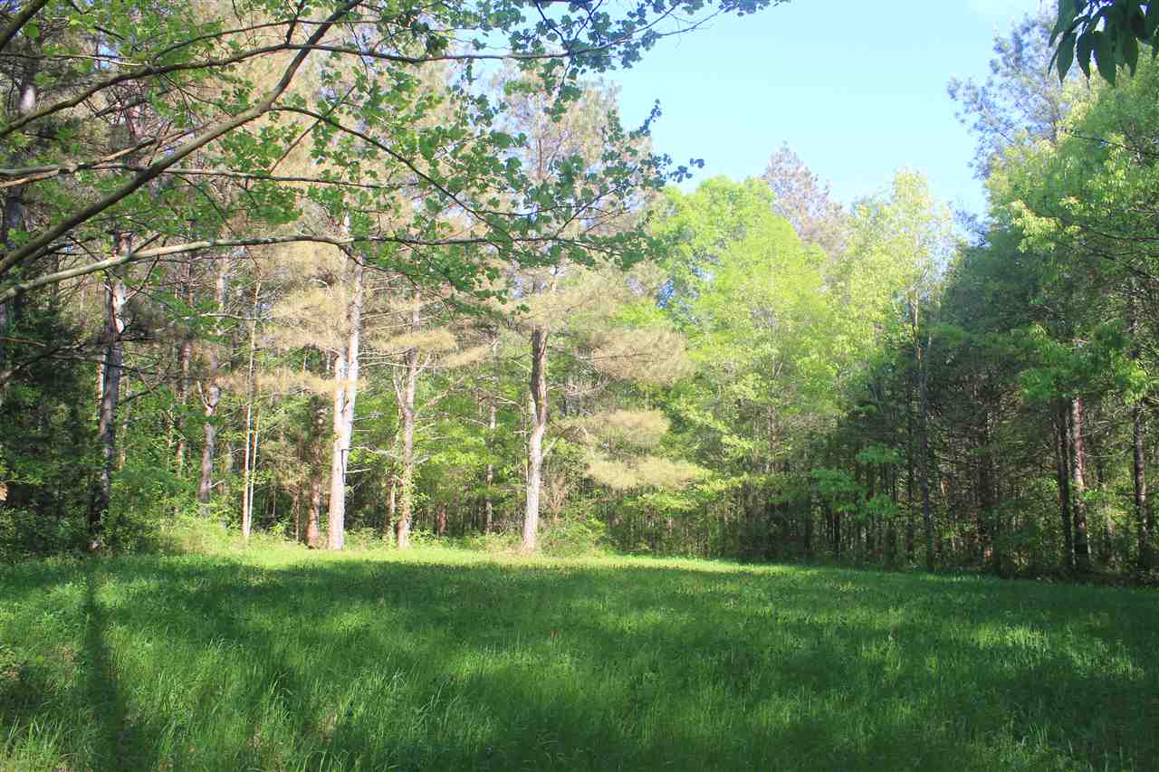 1600 Country Church Road Lamar, MS 38642 - Photo 19 of 25 a view of an outdoor space and a yard