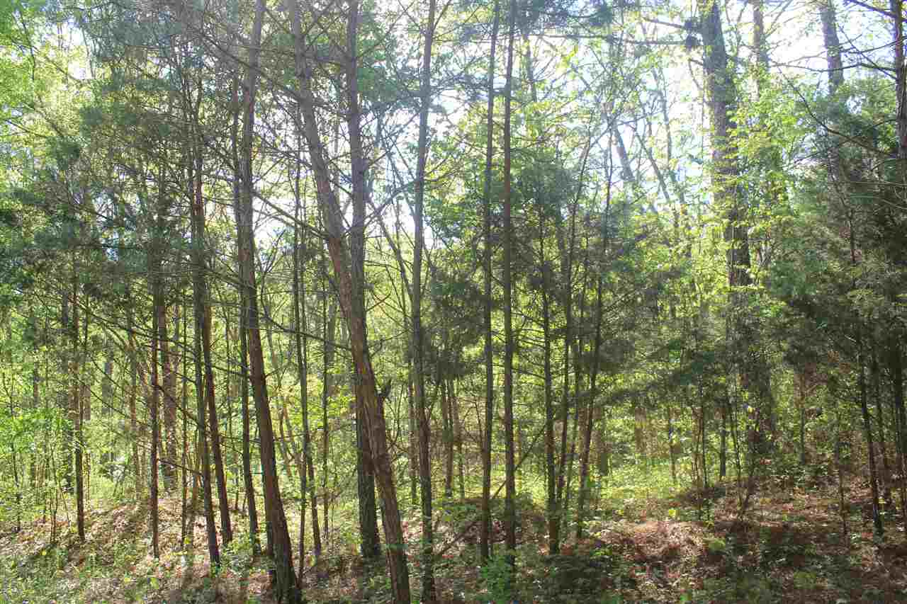 1600 Country Church Road Lamar, MS 38642 - Photo 3 of 25 a view of forest