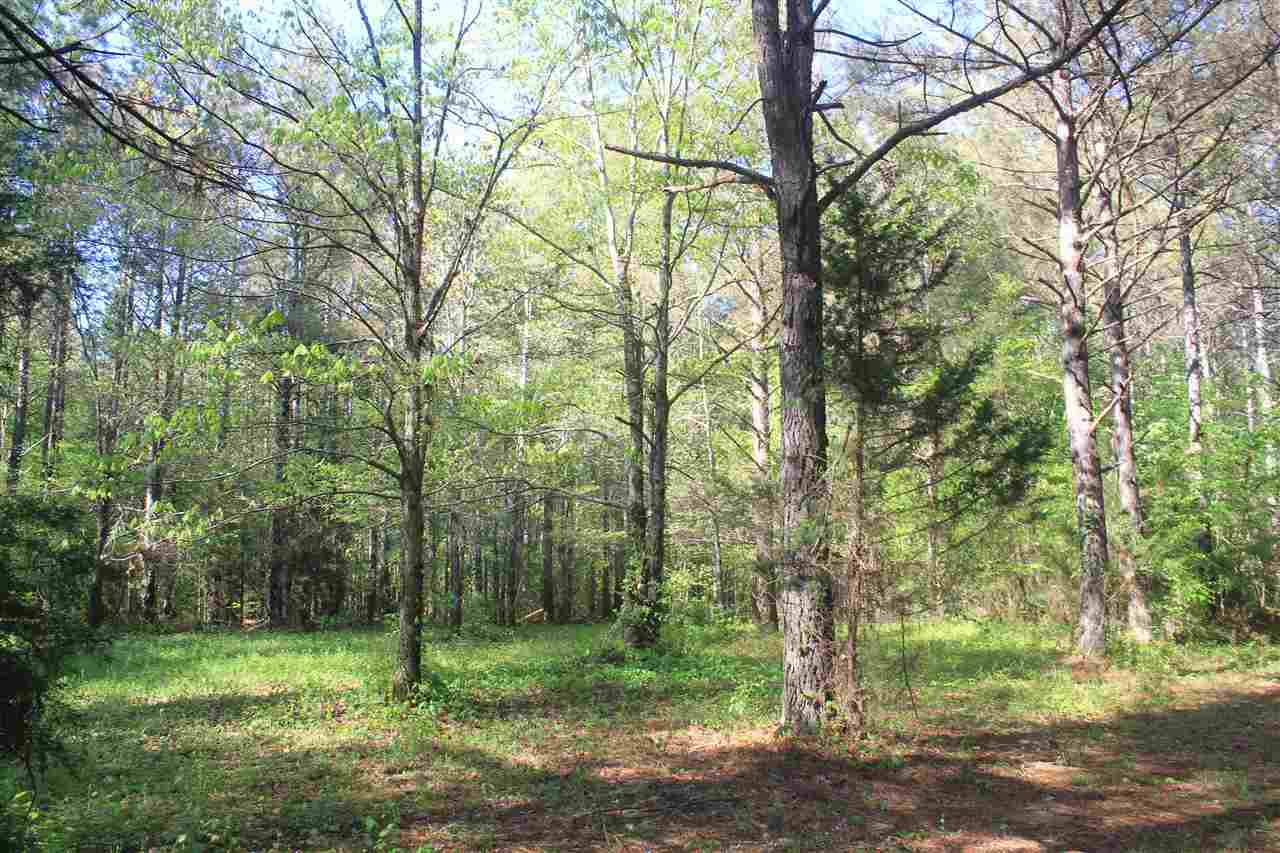 1600 Country Church Road Lamar, MS 38642 - Photo 21 of 25 a green field with lots of trees