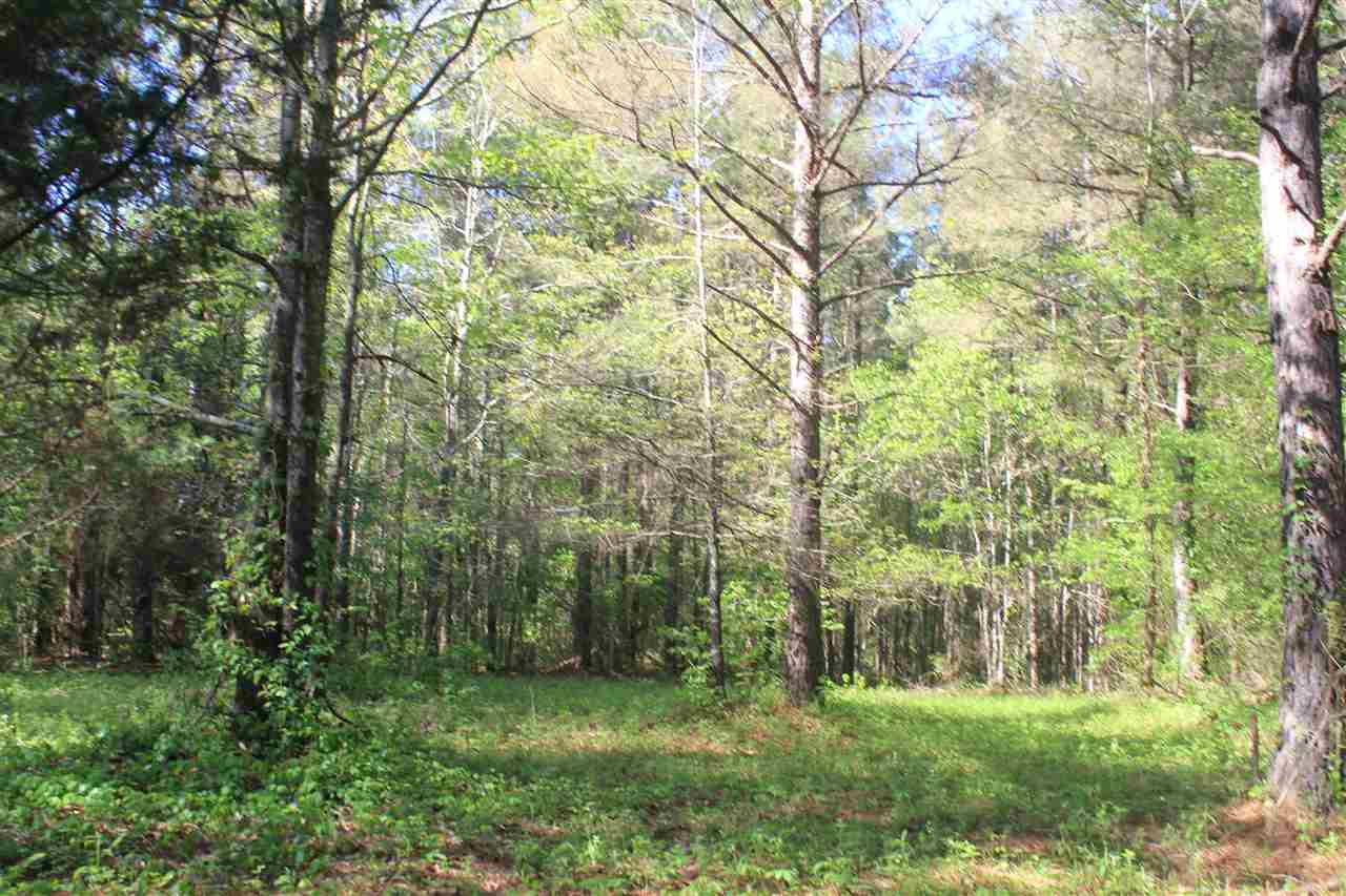 1600 Country Church Road Lamar, MS 38642 - Photo 22 of 25 a view of a lush green forest