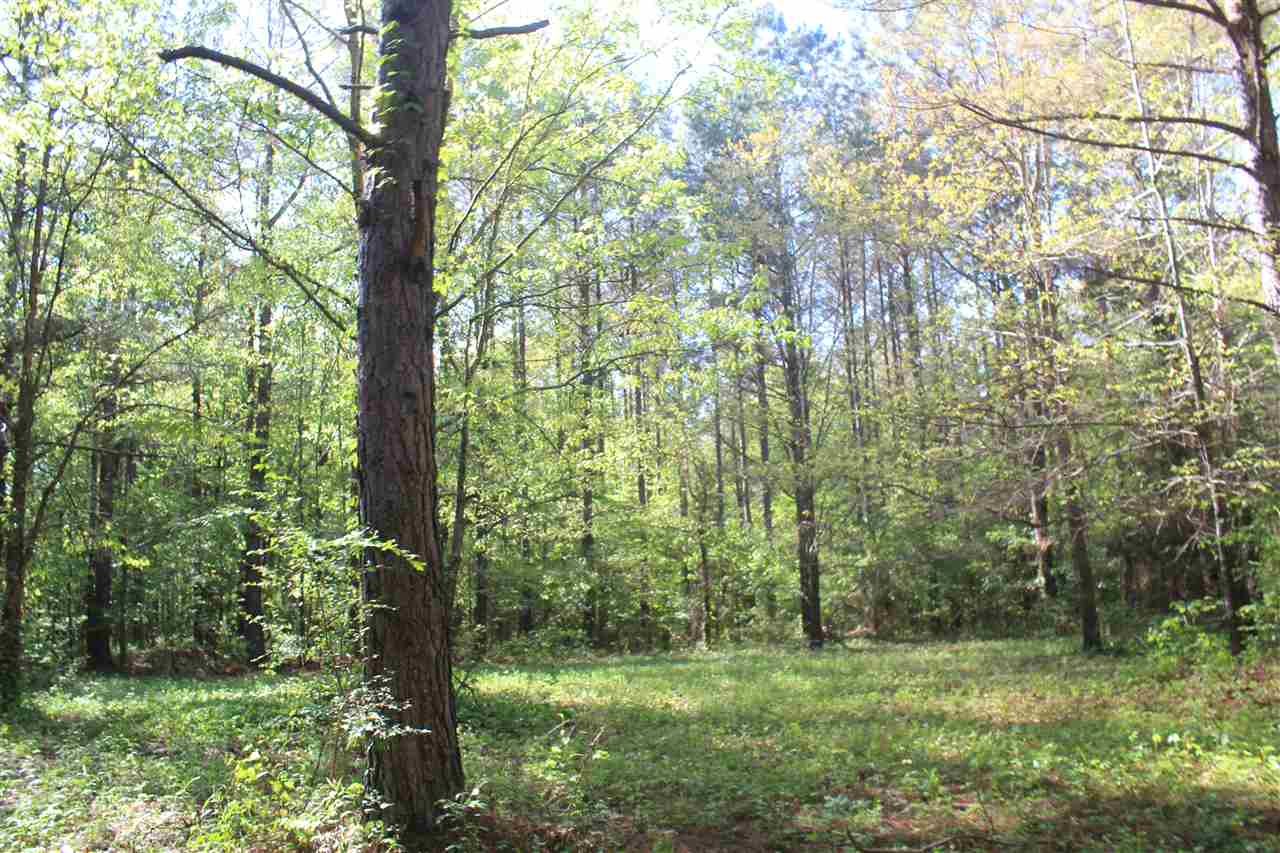 1600 Country Church Road Lamar, MS 38642 - Photo 23 of 25 a big yard with lots of green space and trees