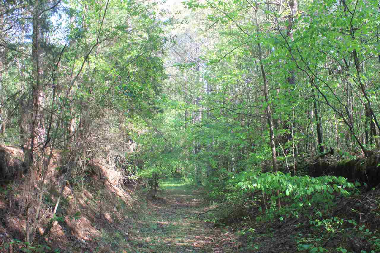 1600 Country Church Road Lamar, MS 38642 - Photo 24 of 25 a view of a yard with a tree