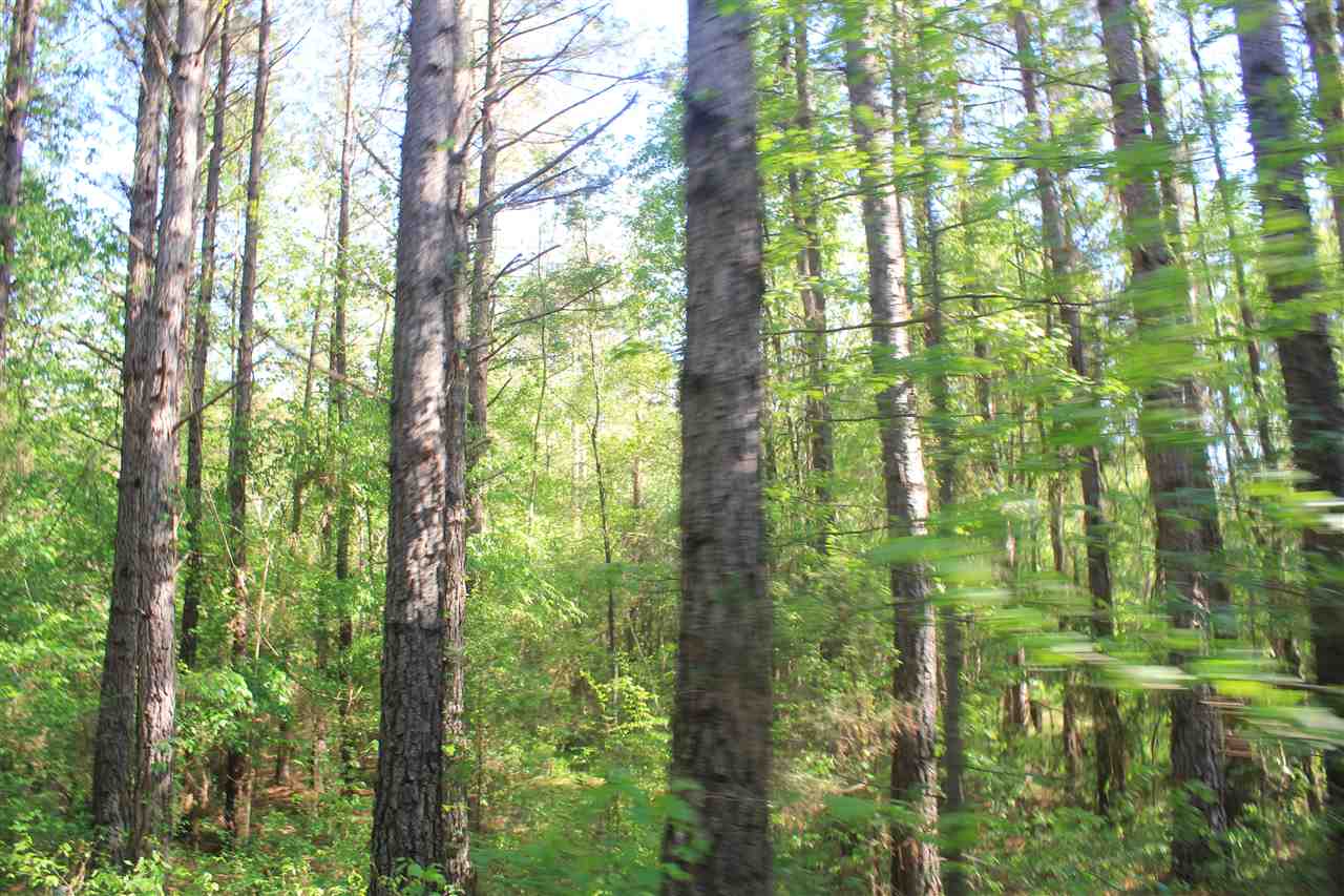 1600 Country Church Road Lamar, MS 38642 - Photo 25 of 25 a close up of street