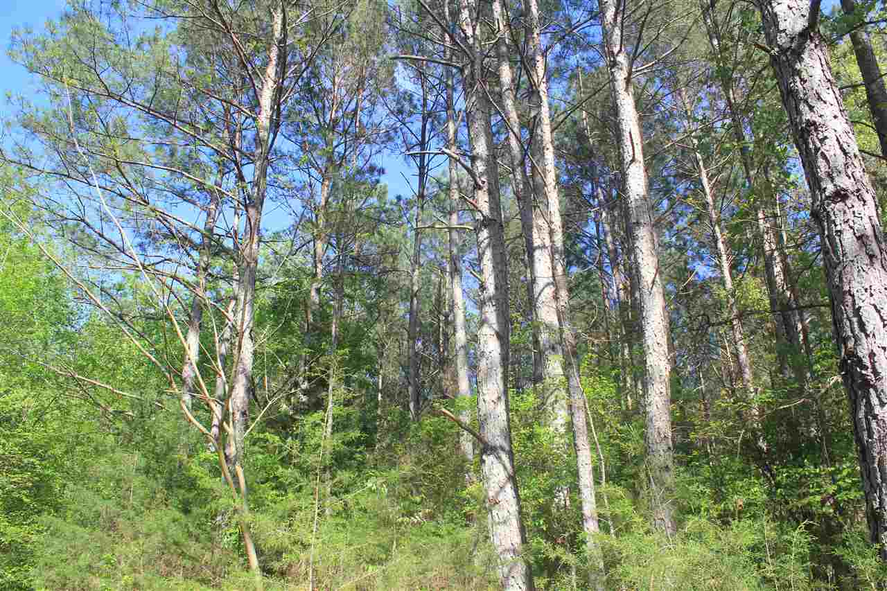 1600 Country Church Road Lamar, MS 38642 - Photo 5 of 25