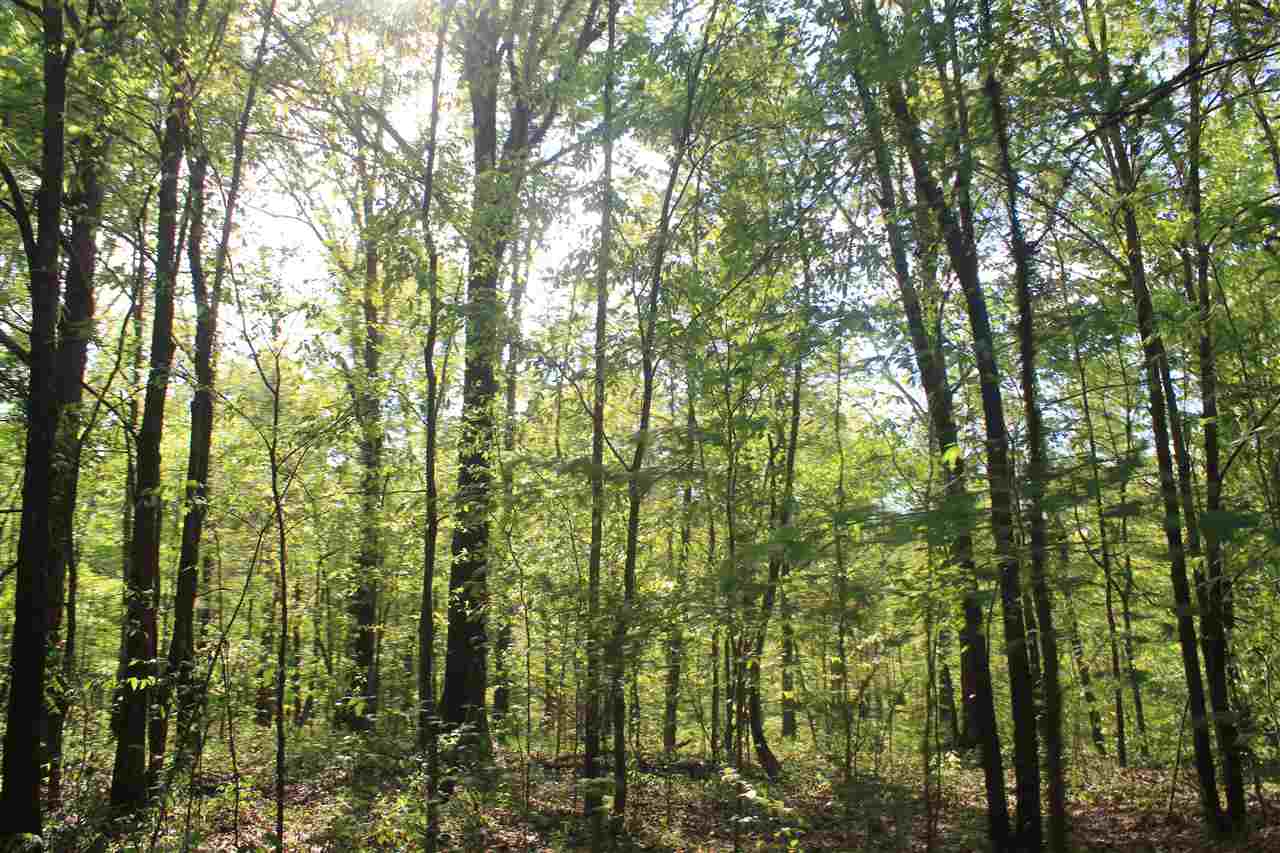 1600 Country Church Road Lamar, MS 38642 - Photo 7 of 25 a view of forest