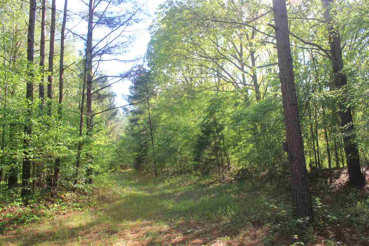 1600 Country Church Road Lamar, MS 38642 - Photo 9 of 25 a view of a yard with a tree