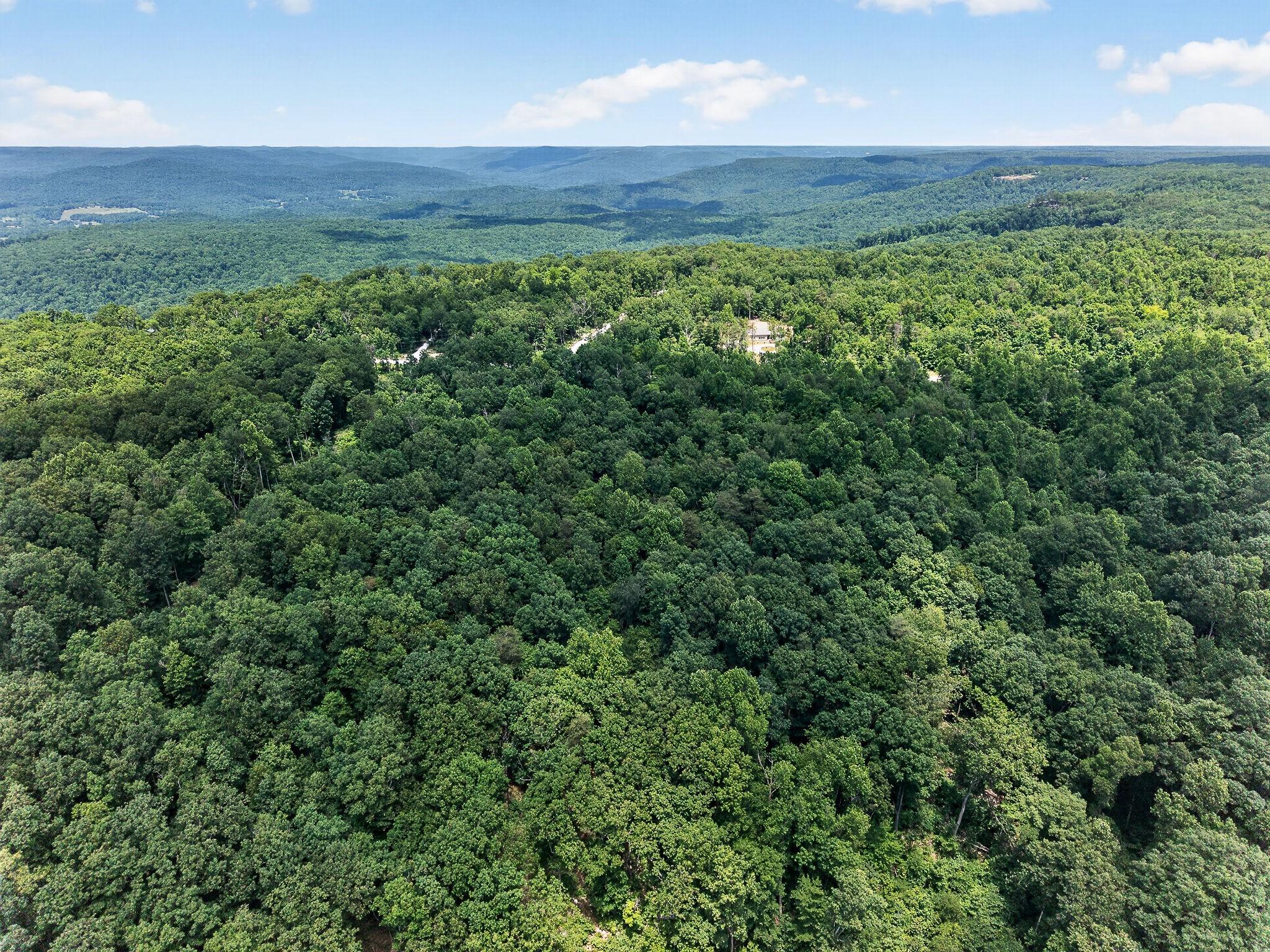 0 Coal Bank Road Sparta, TN 38583 - Photo 7 of 15 a view of a large yard with lots of green space