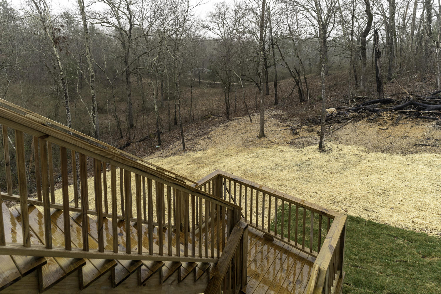 9279 Bill Reed Road, Unit 3 Ooltewah, TN 37363 - Photo 65 of 70 Stairs