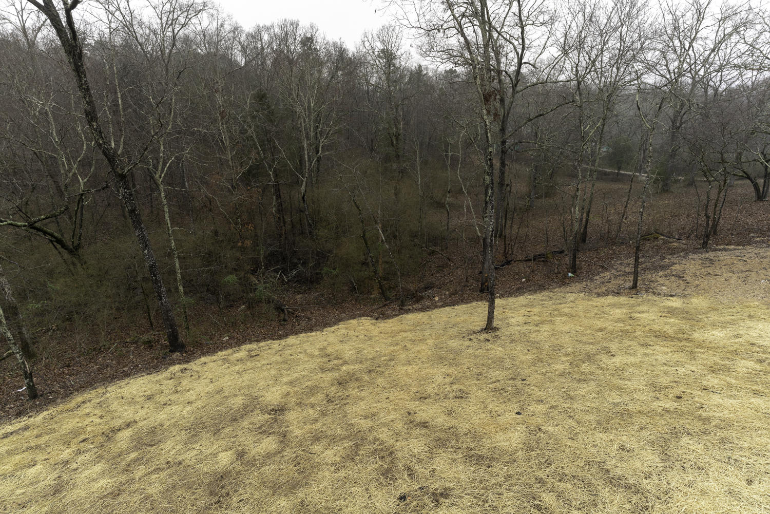 9279 Bill Reed Road, Unit 3 Ooltewah, TN 37363 - Photo 66 of 70 Backyard
