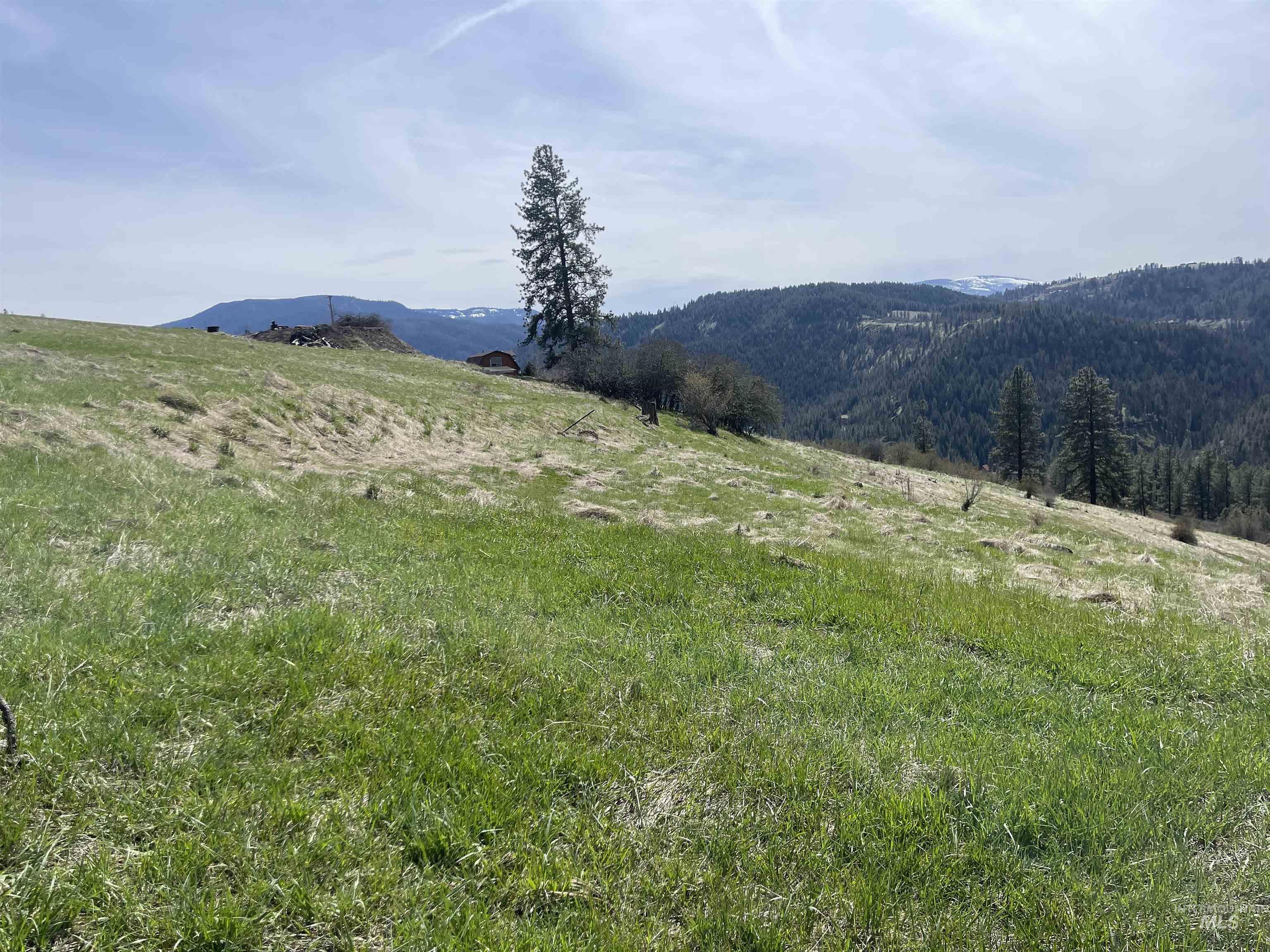 Tbd Wagonwheel Road Stites, ID 83552 - Photo 5 of 33