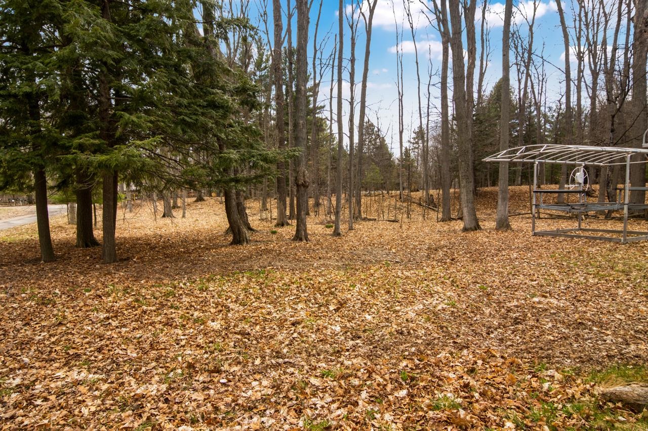 9357 Fairview Road Williamsburg, MI 49690 - Photo 50 of 55