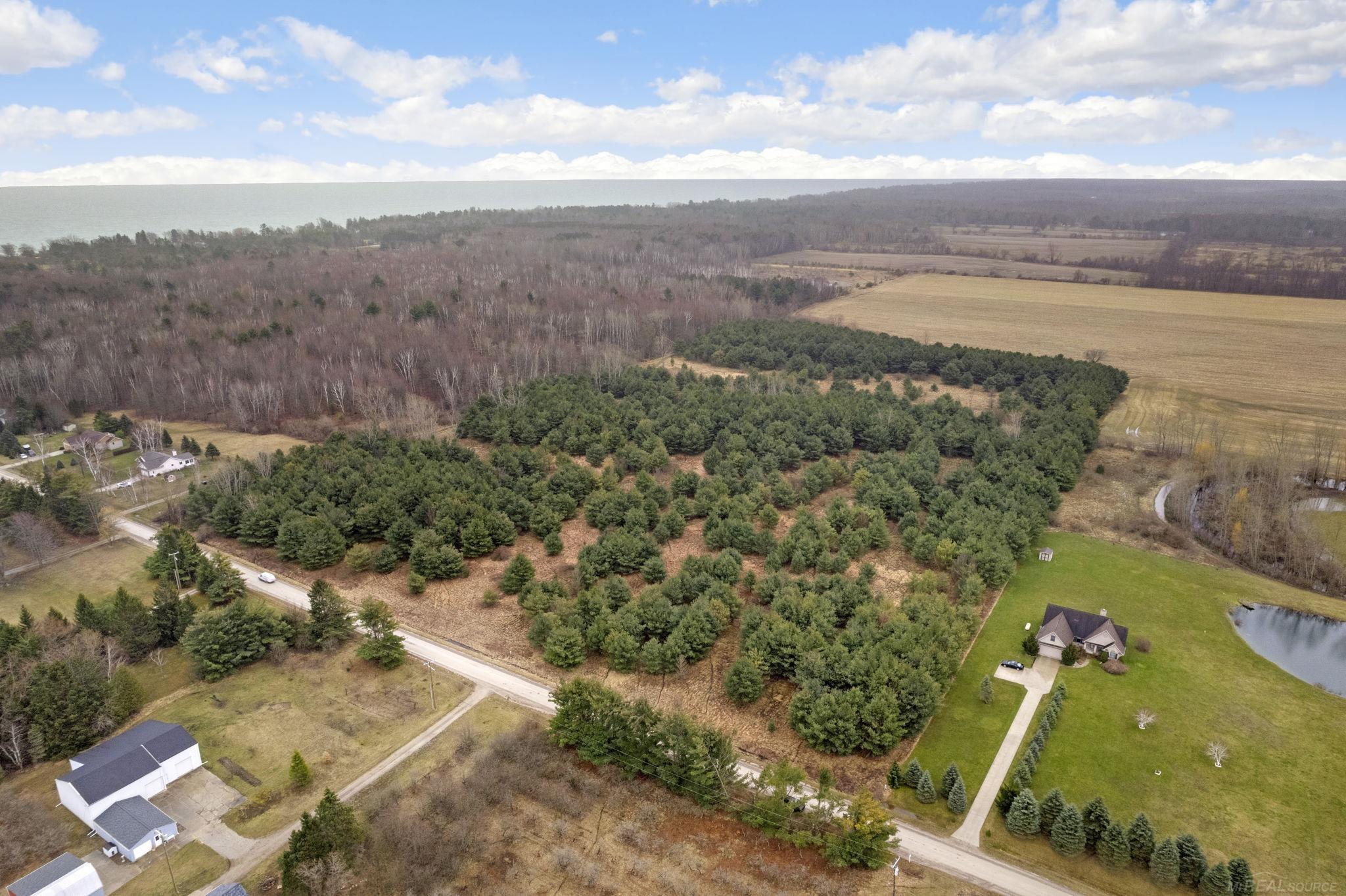 0 Aitken Road Peck, MI 48466 - Photo 4 of 11