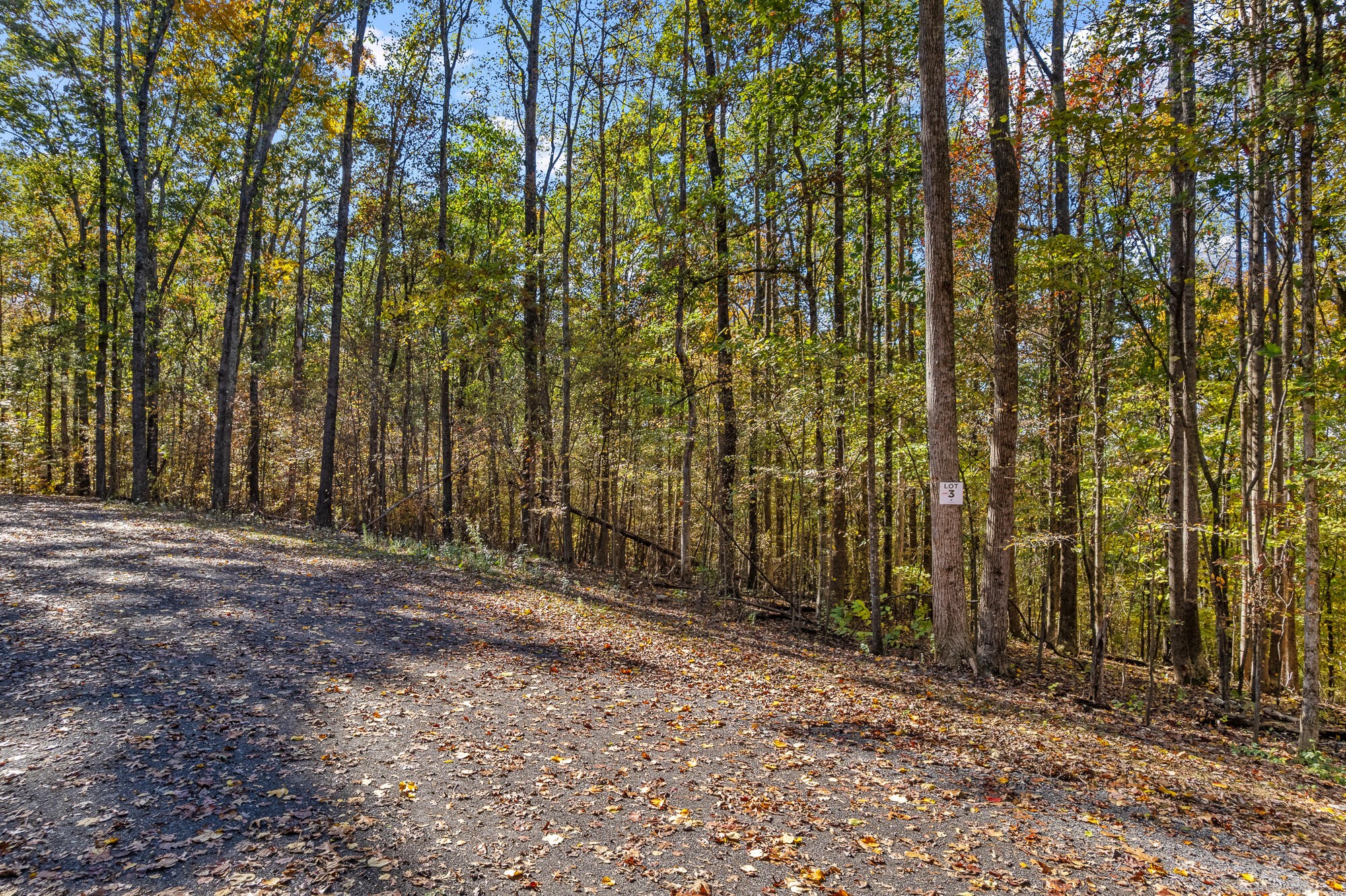 29 County Road Riceville, TN 37370 - Photo 13 of 29 Gallery Image 13