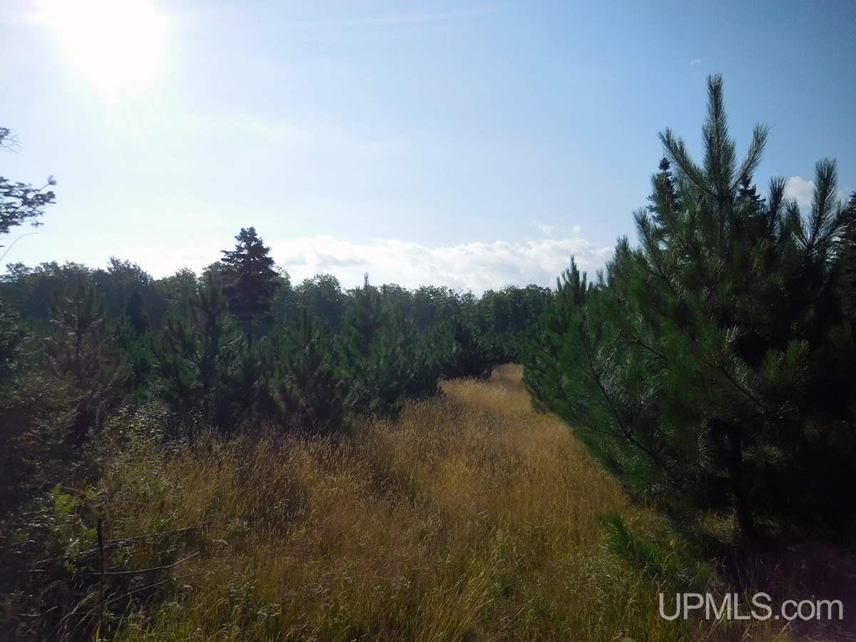 Tbd Tee Lake Road Germfask, MI 49836 - Photo 23 of 25