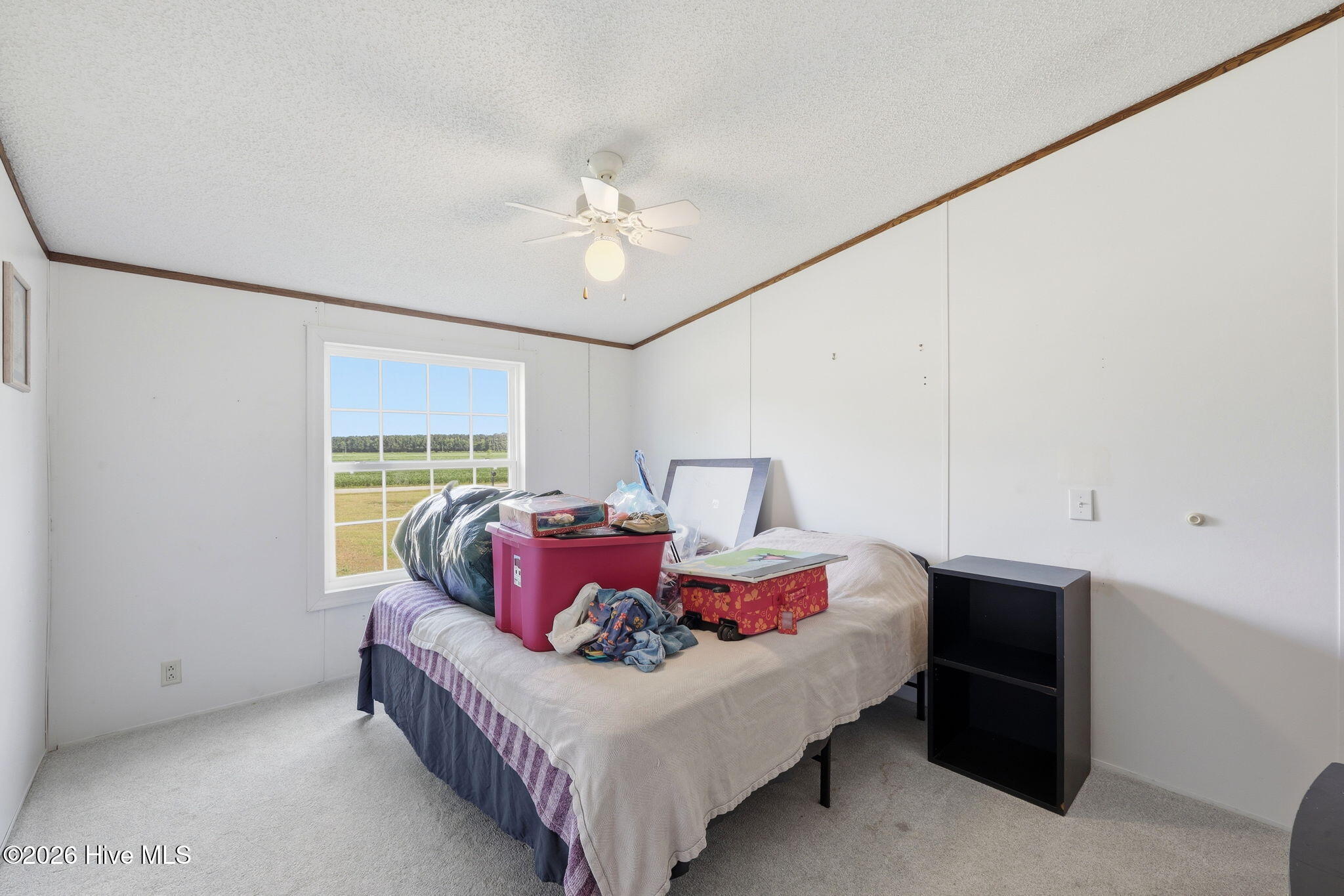252 Heath Swamp Road Cove City, NC 28523 - Photo 36 of 55