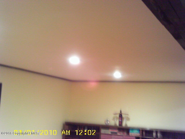 1024 Canterbury Road Bushkill, PA 18324 - Photo 18 of 18 Reccessed Lighting