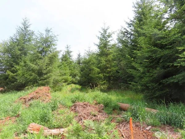 a view of a lake with green space